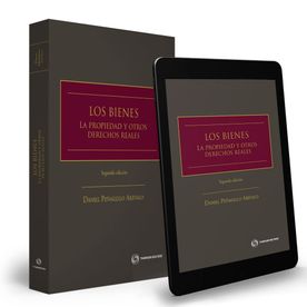 Los Bienes: La Propiedad y Otros Derechos Reales