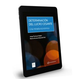 Determinación de Lucro Cesante: Una Mirada Económica