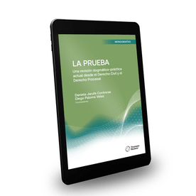 La prueba. Una revisión dogmático-práctica actual desde el Derecho Civil y el Derecho Procesal