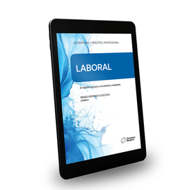 Estrategia y Práctica Profesional - Laboral